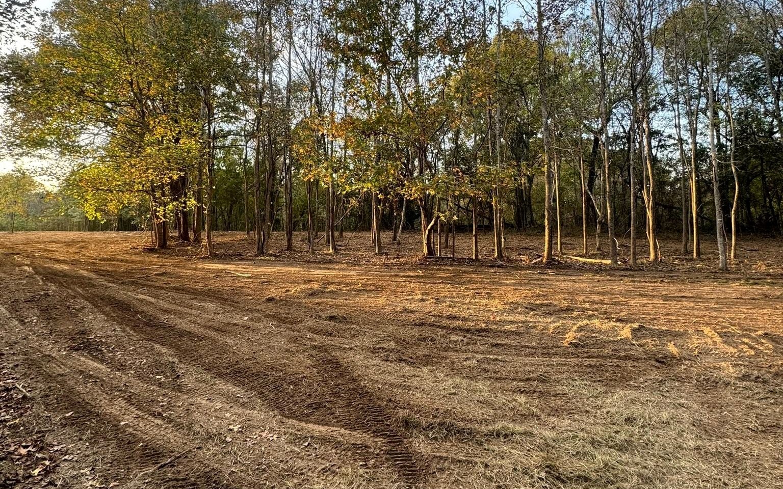 B&C clearing and grading a wooded property